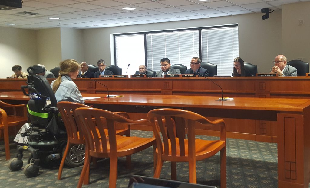 Kristen testifying before the Michigan House Transportation Committee on the struggles of people with disabilities living in opt-out communities