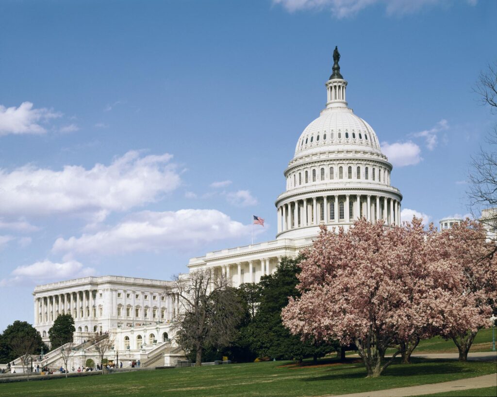 US Congress building with cherry blossom tree. Photo by Carol M. Highsmith, from the Library of Congress