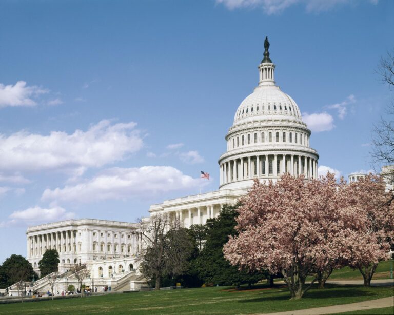 US Congress building with cherry blossom tree. Photo by Carol M. Highsmith, from the Library of Congress